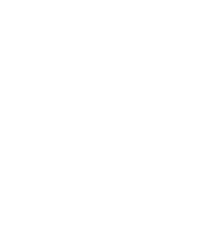 INK
